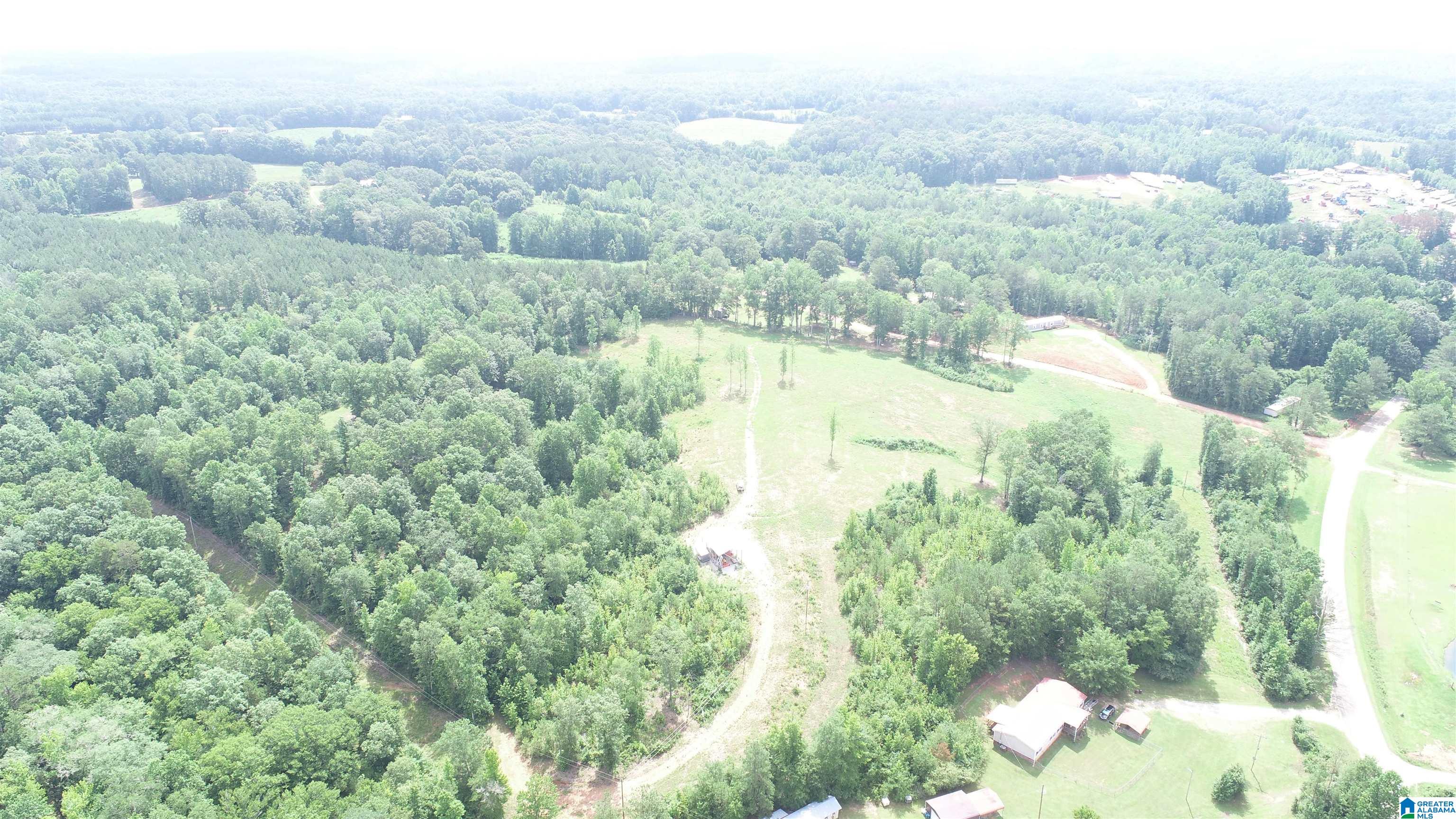 4 County Road Wedowee, AL 36278 - Photo 14 of 16