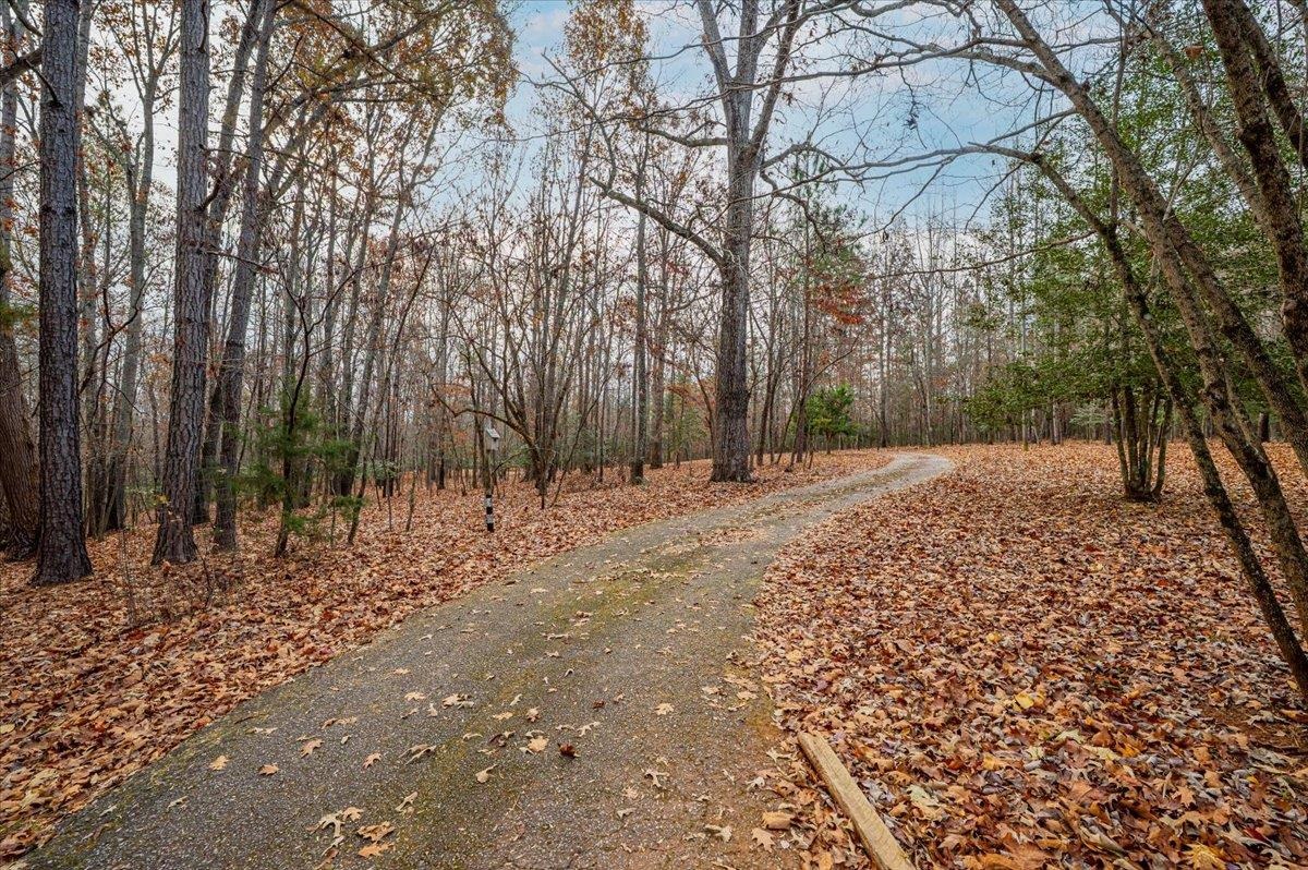 803 Derrick Road Pauline, SC 29374 - Photo 14 of 17