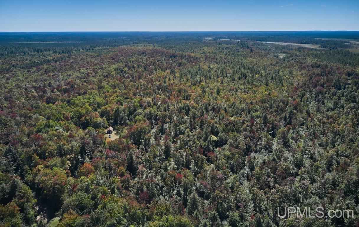 454 Creighton Trail Road Shingleton, MI 49884 - Photo 18 of 26
