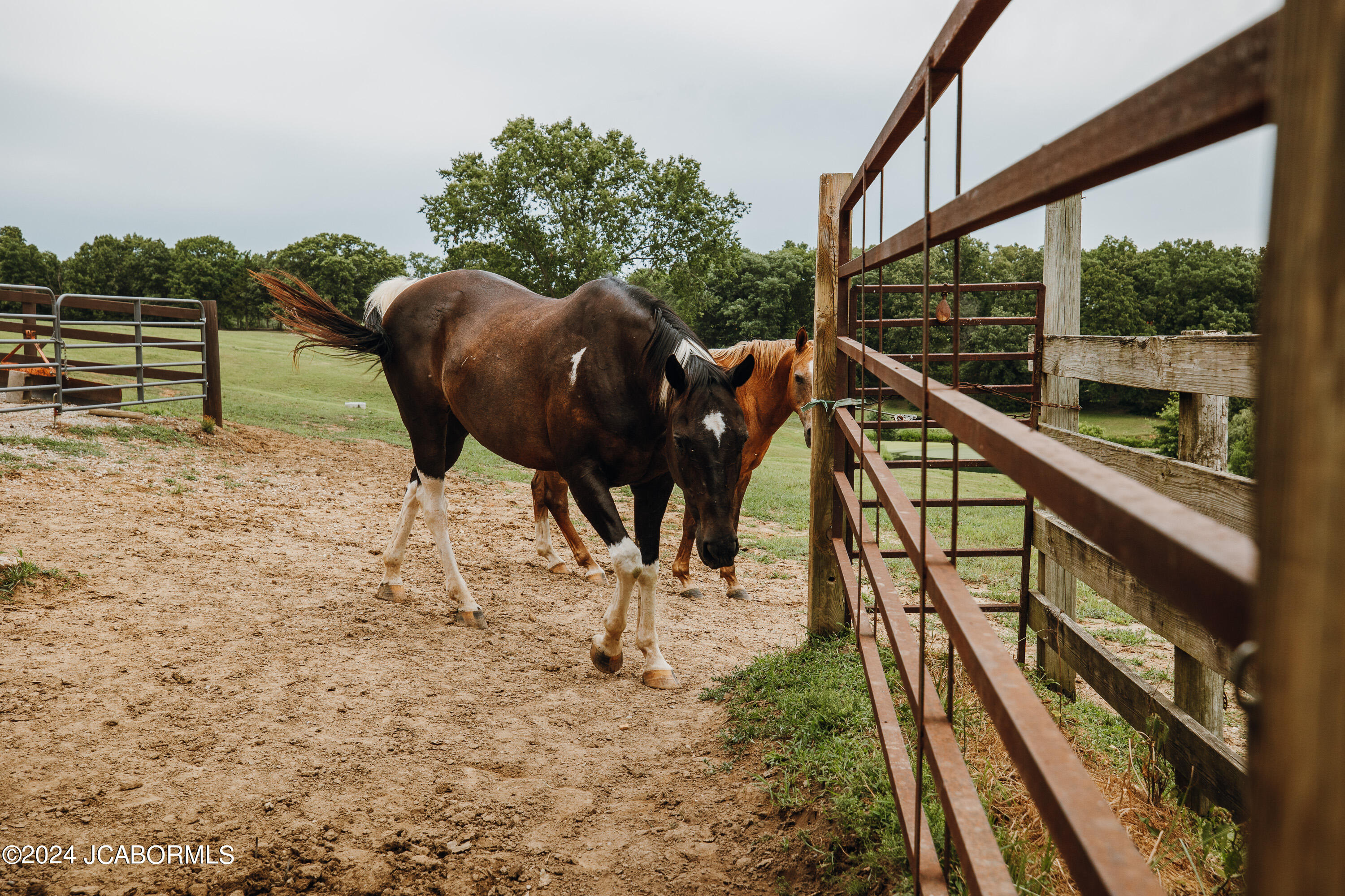 4461 State Rd AA Tebbetts, MO 65080 - Photo 67 of 75
