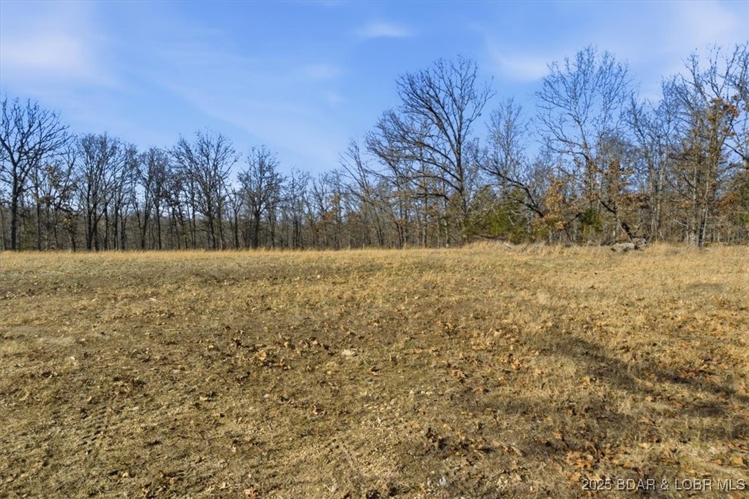 82-acres State Road North Climax Springs, MO 65324 - Photo 38 of 68