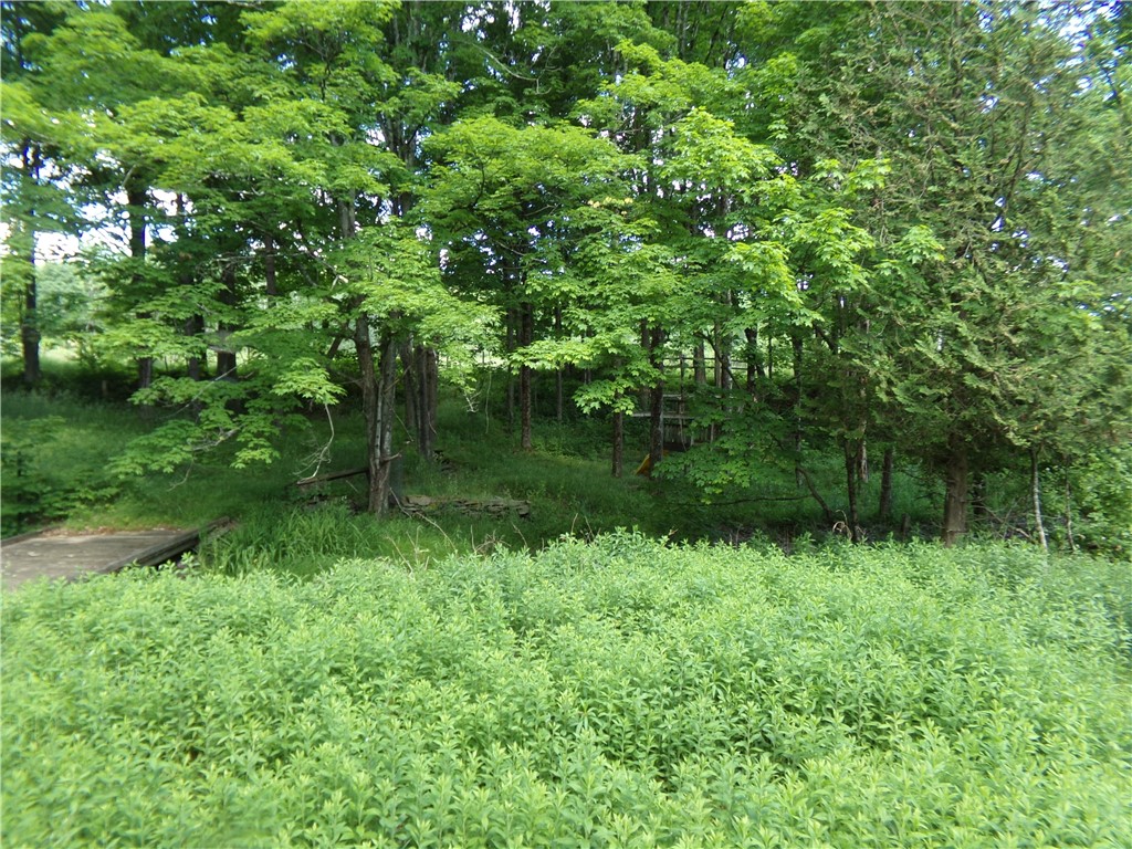 293 Lockwood Hill Road Mount Upton, NY 13809 - Photo 12 of 17