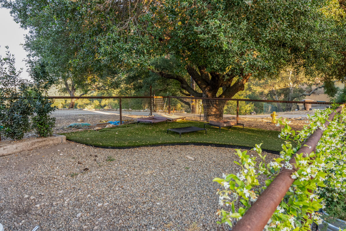 13100 Ojai Road Santa Paula, CA 93060 - Photo 55 of 60 _ROY0953