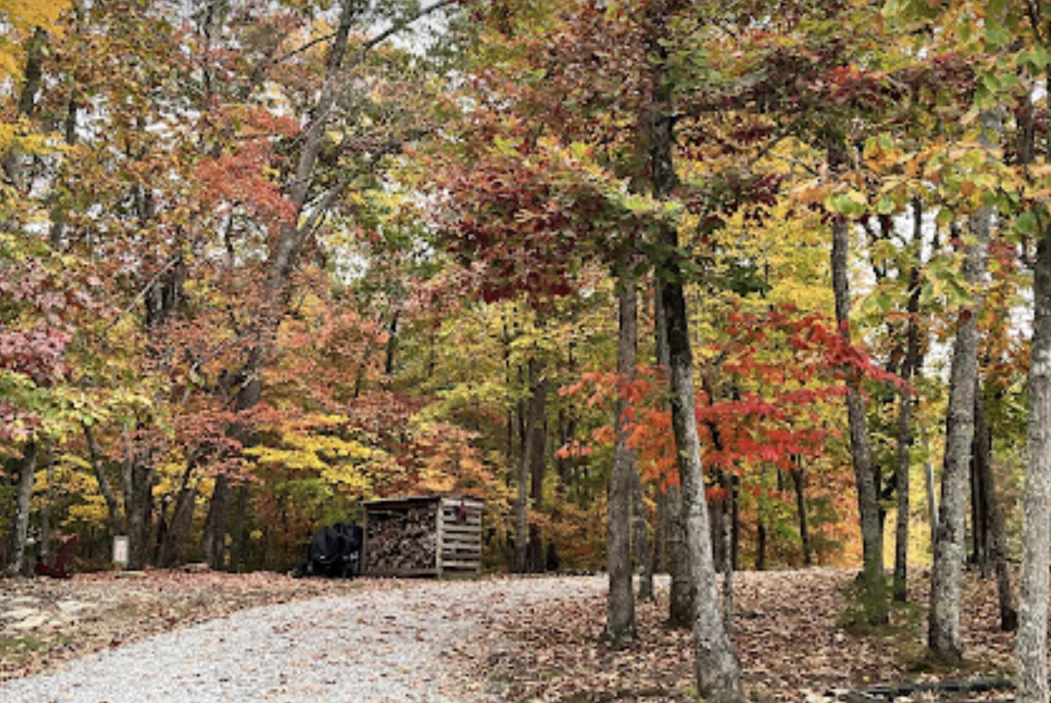 260 Ralphs Way Rising Fawn, GA 30738 - Photo 49 of 79 IMG_0249