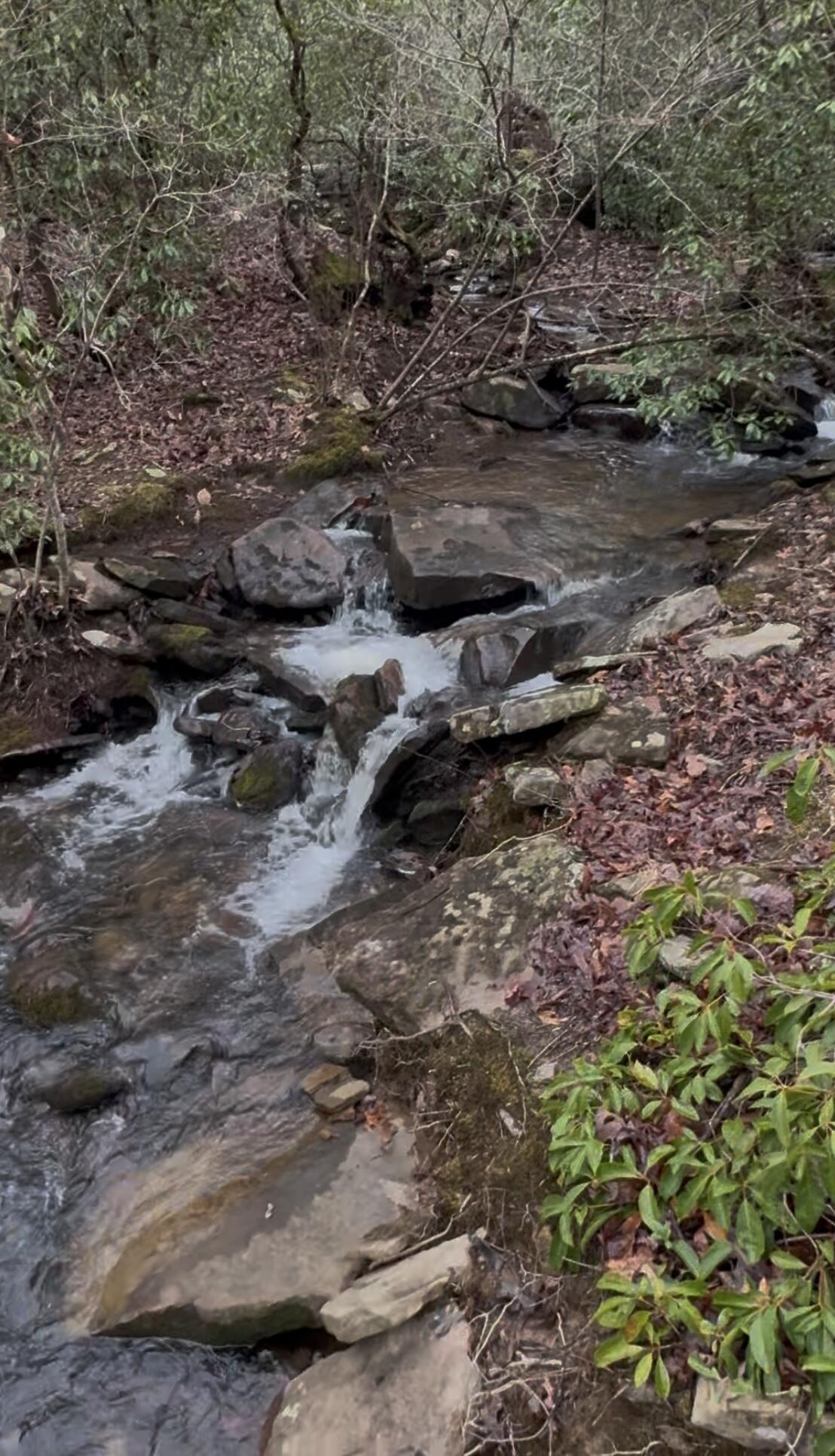 260 Ralphs Way Rising Fawn, GA 30738 - Photo 76 of 79 IMG_1008