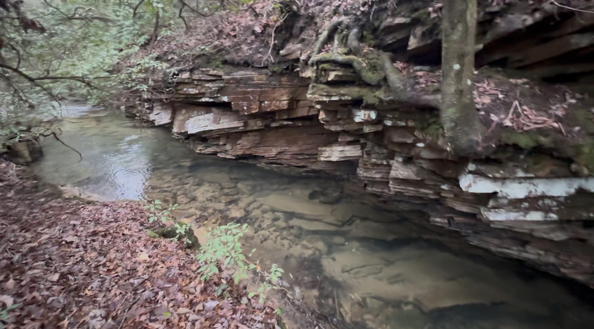 260 Ralphs Way Rising Fawn, GA 30738 - Photo 77 of 79 IMG_1011