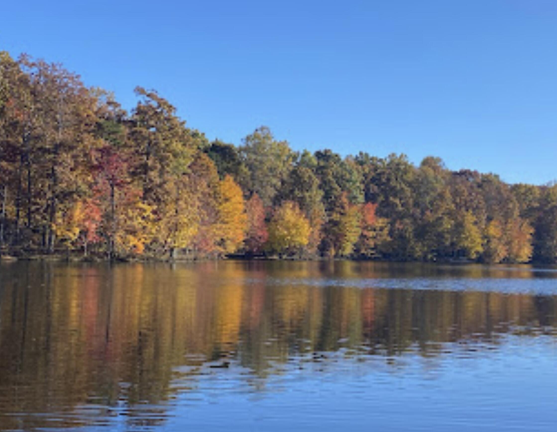 260 Ralphs Way Rising Fawn, GA 30738 - Photo 78 of 79 IMG_0259