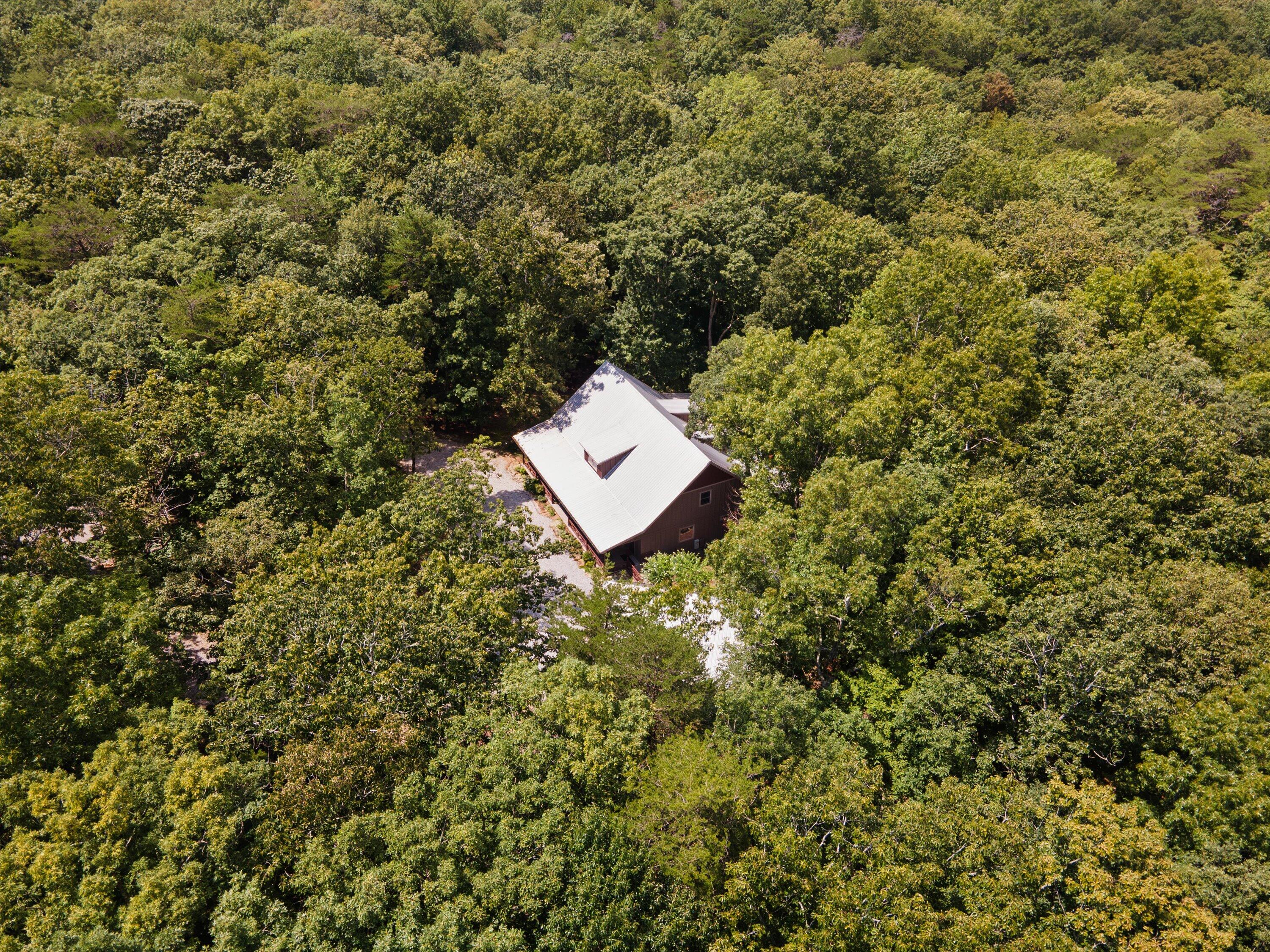 260 Ralphs Way Rising Fawn, GA 30738 - Photo 8 of 79 79-260 Ralphs Way Aerial-05