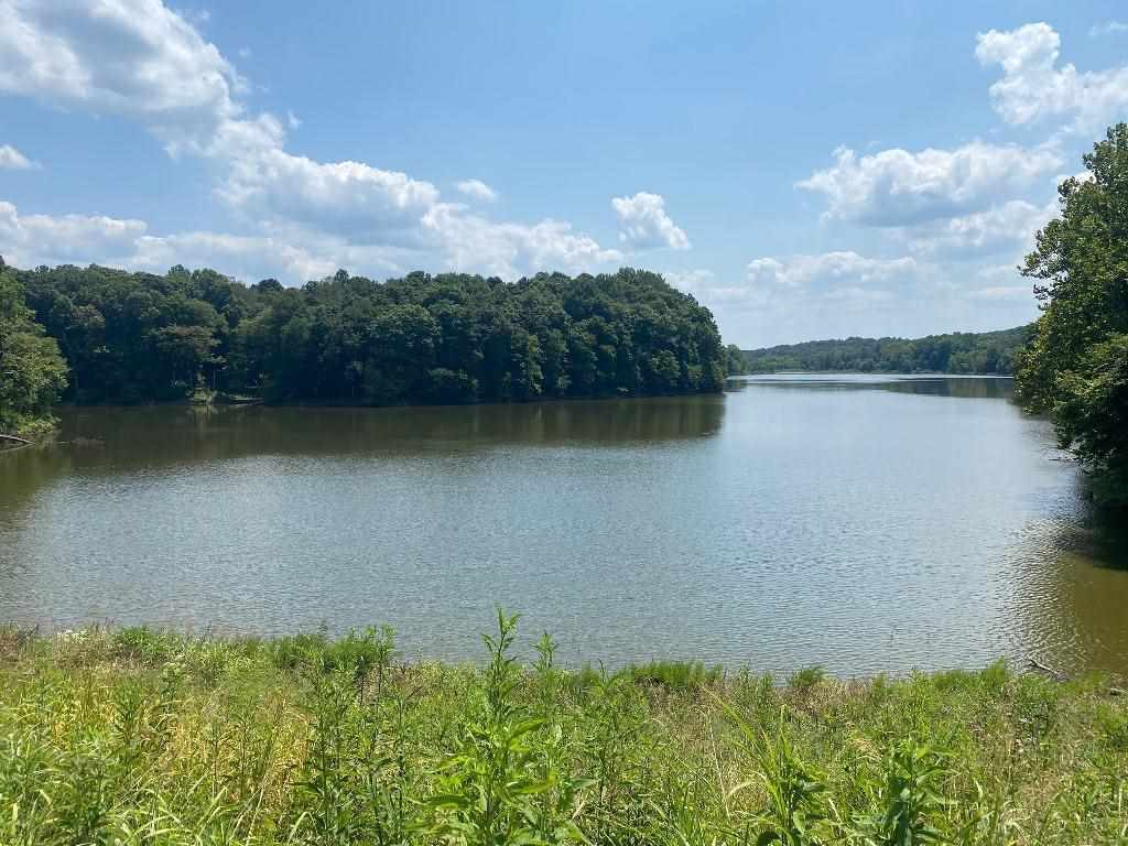 Lot 11 Hamilton-lee Road Lewisburg, KY 42256 - Photo 3 of 44 Gallery Image 3
