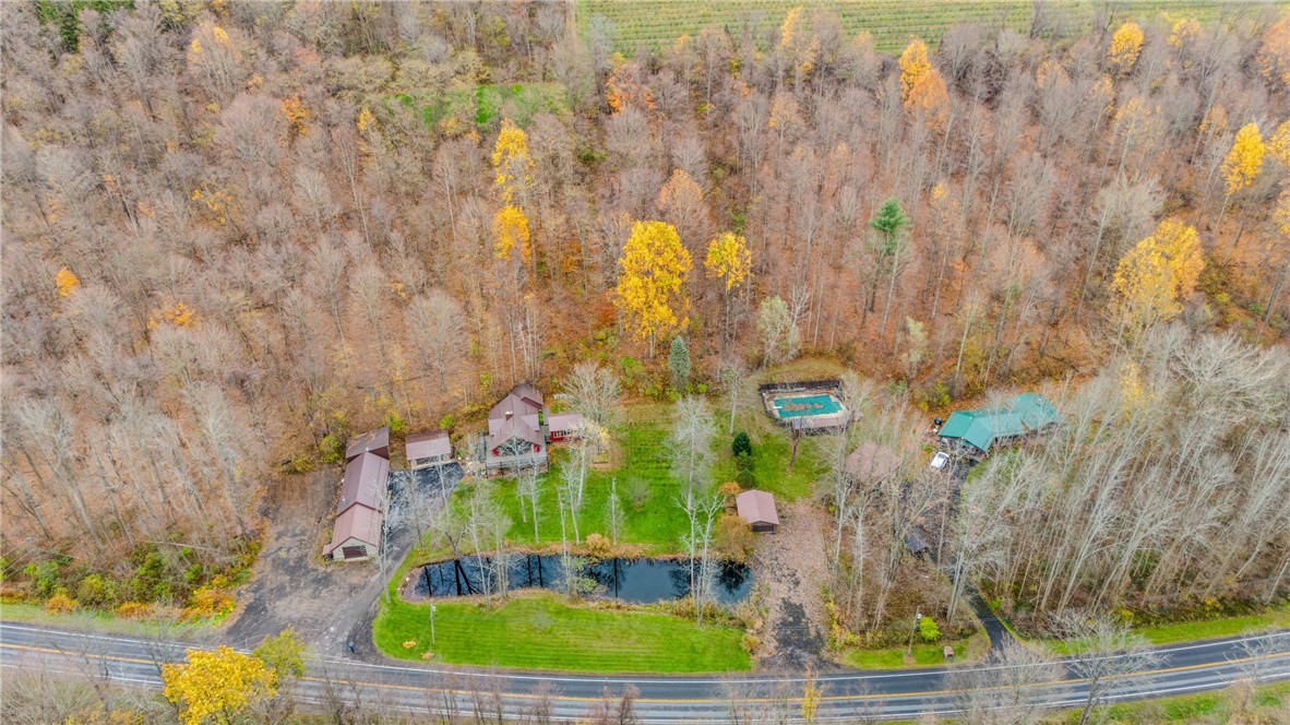 4592 Maple Street Road Sodus, NY 14489 - Photo 4 of 49