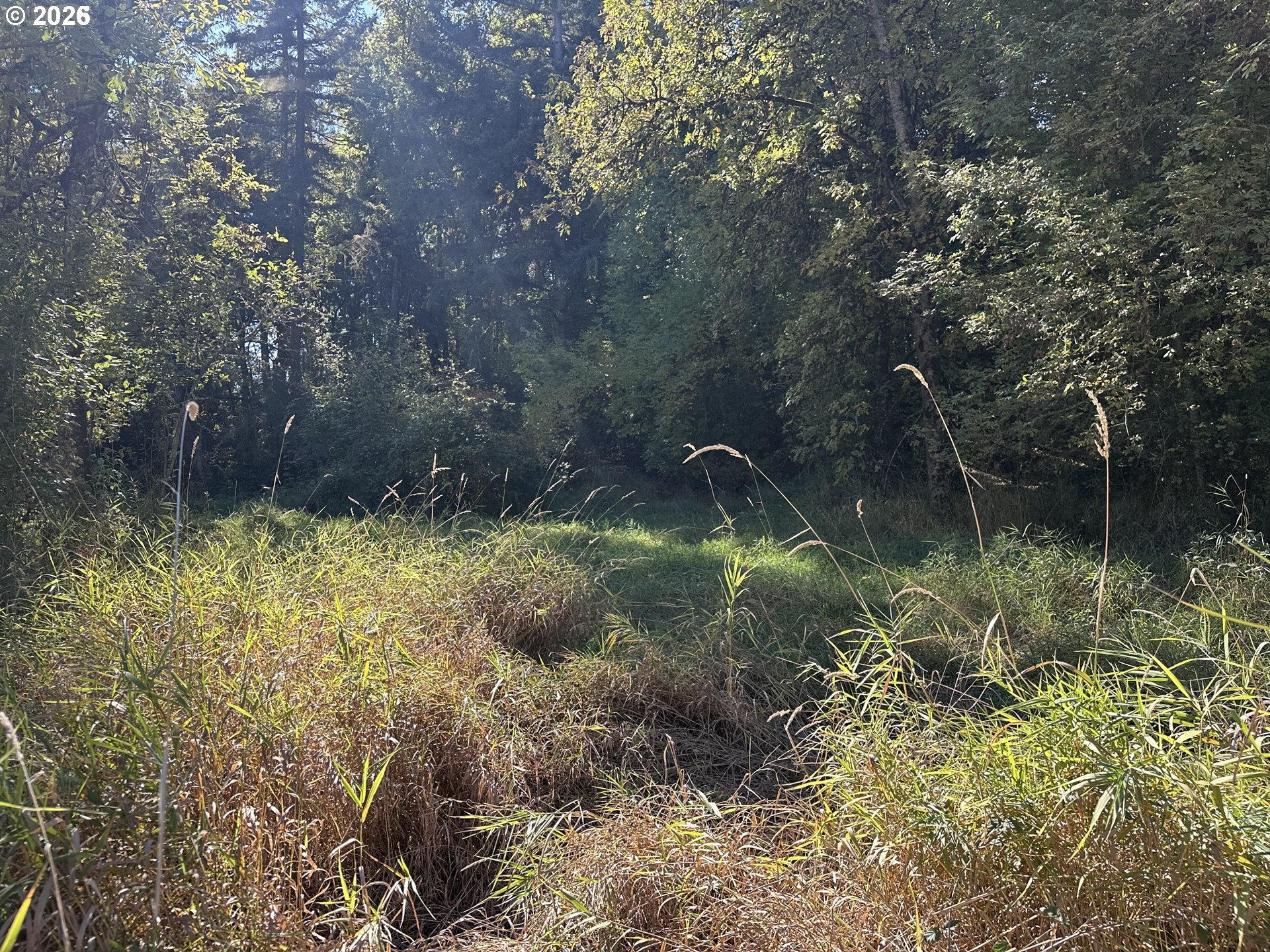 0 Monroe Cemetery Road Monroe, OR 97456 - Photo 2 of 4