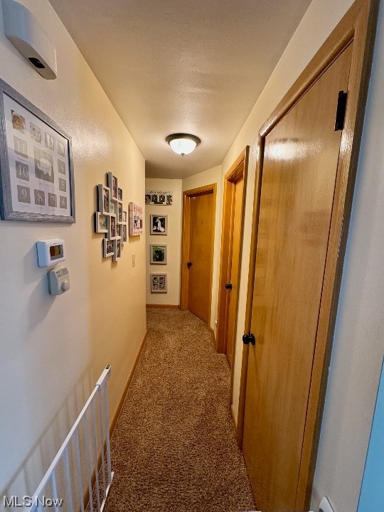 873 Bears Den Road Youngstown, OH 44511 - Photo 6 of 15 Hall with light colored carpet