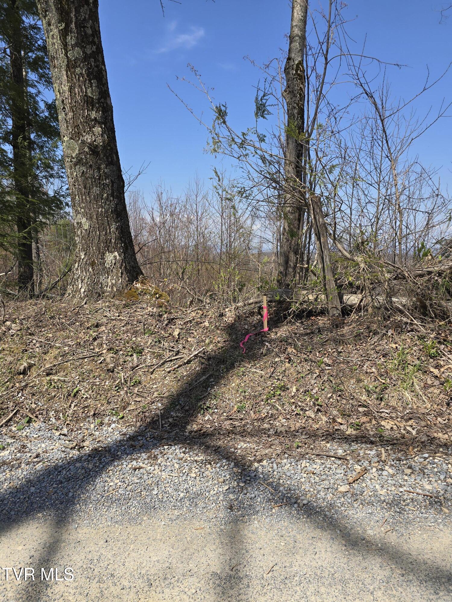 0 Walnut Mountain Road, Unit 8 Butler, TN 37640 - Photo 4 of 10 First Marker