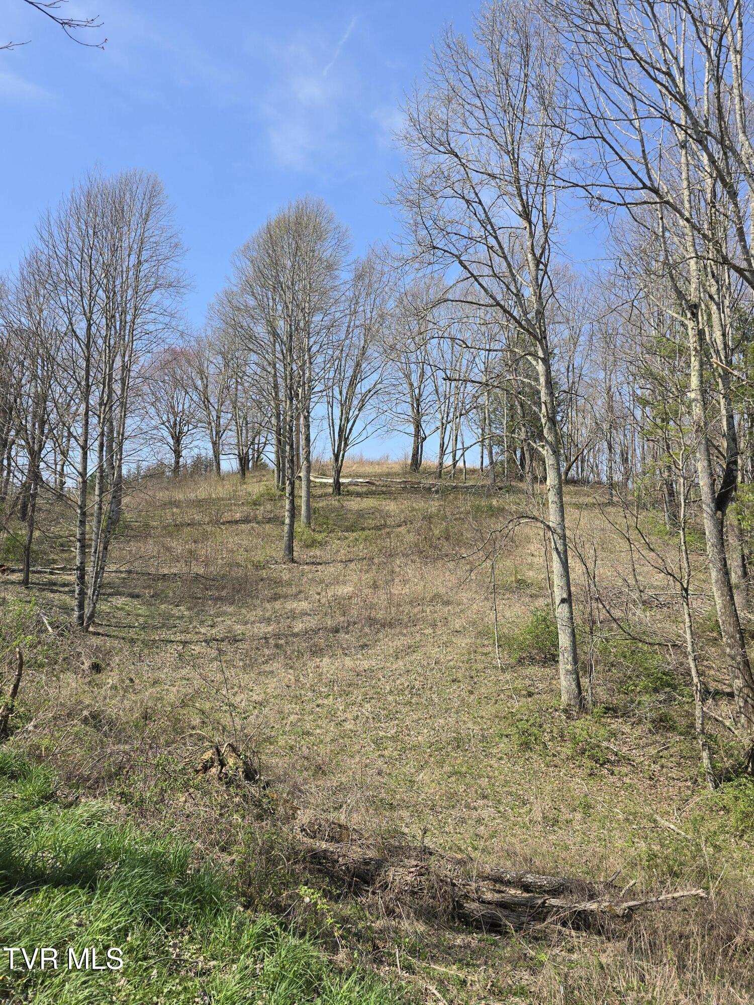 0 Walnut Mountain Road, Unit 8 Butler, TN 37640 - Photo 5 of 10 Street View 2