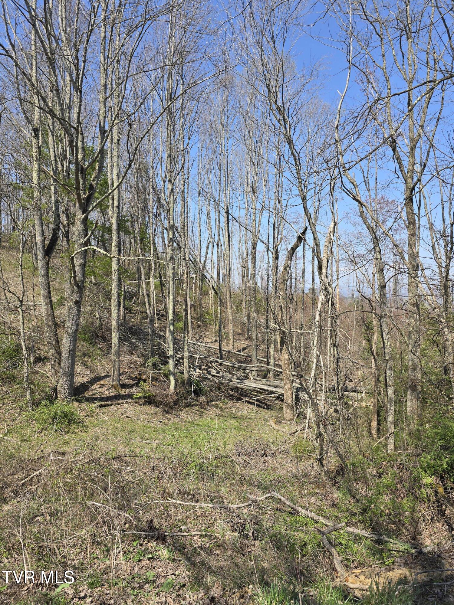 0 Walnut Mountain Road, Unit 8 Butler, TN 37640 - Photo 6 of 10 Street View 3