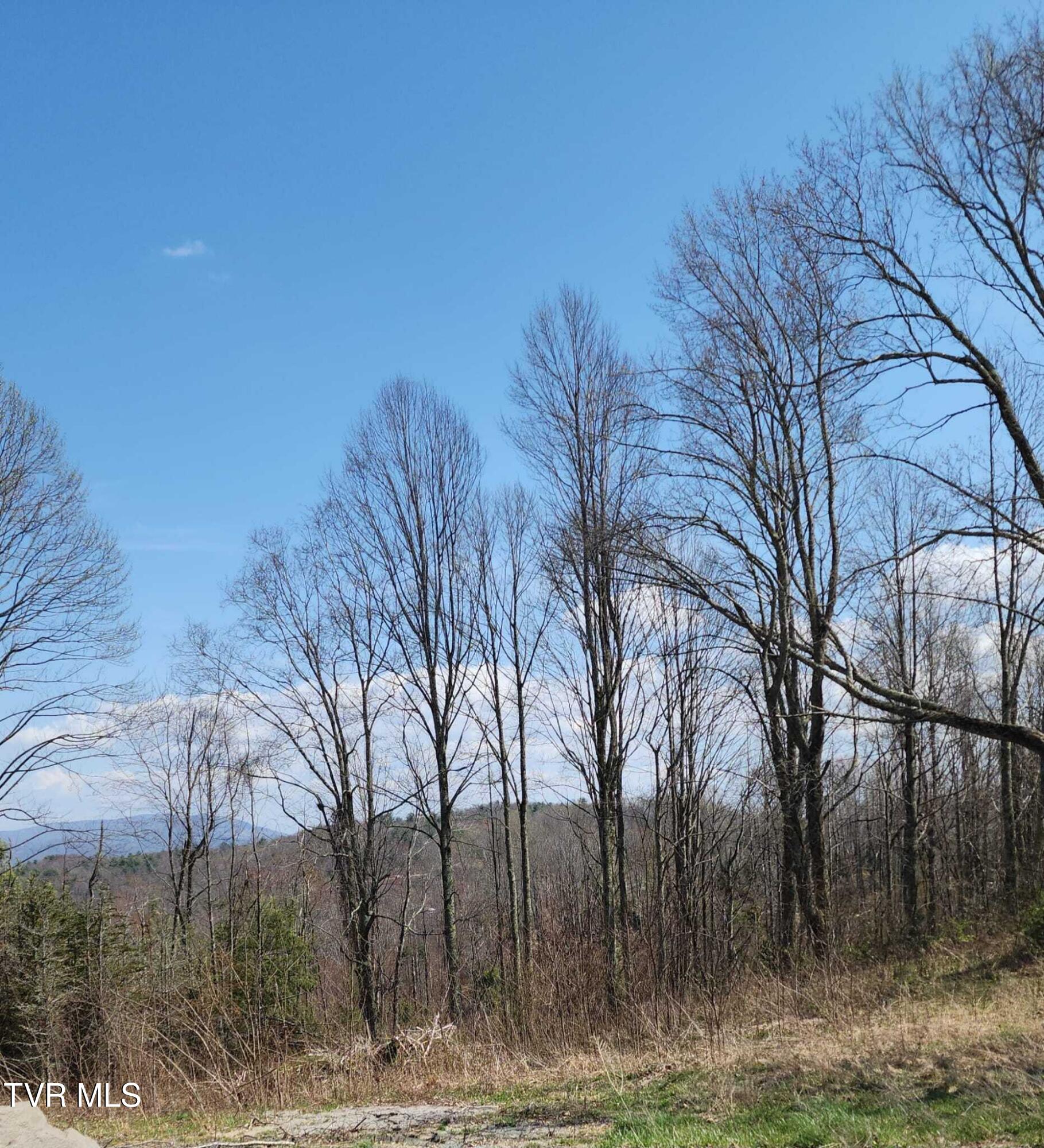 0 Walnut Mountain Road, Unit 8 Butler, TN 37640 - Photo 7 of 10 Views