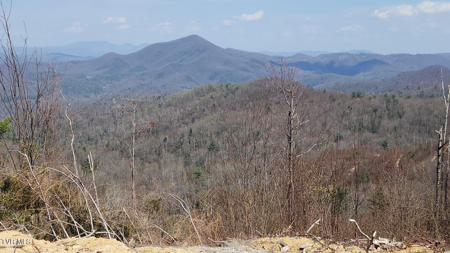 0 Walnut Mountain Road, Unit 8 Butler, TN 37640 - Photo 8 of 10 Views