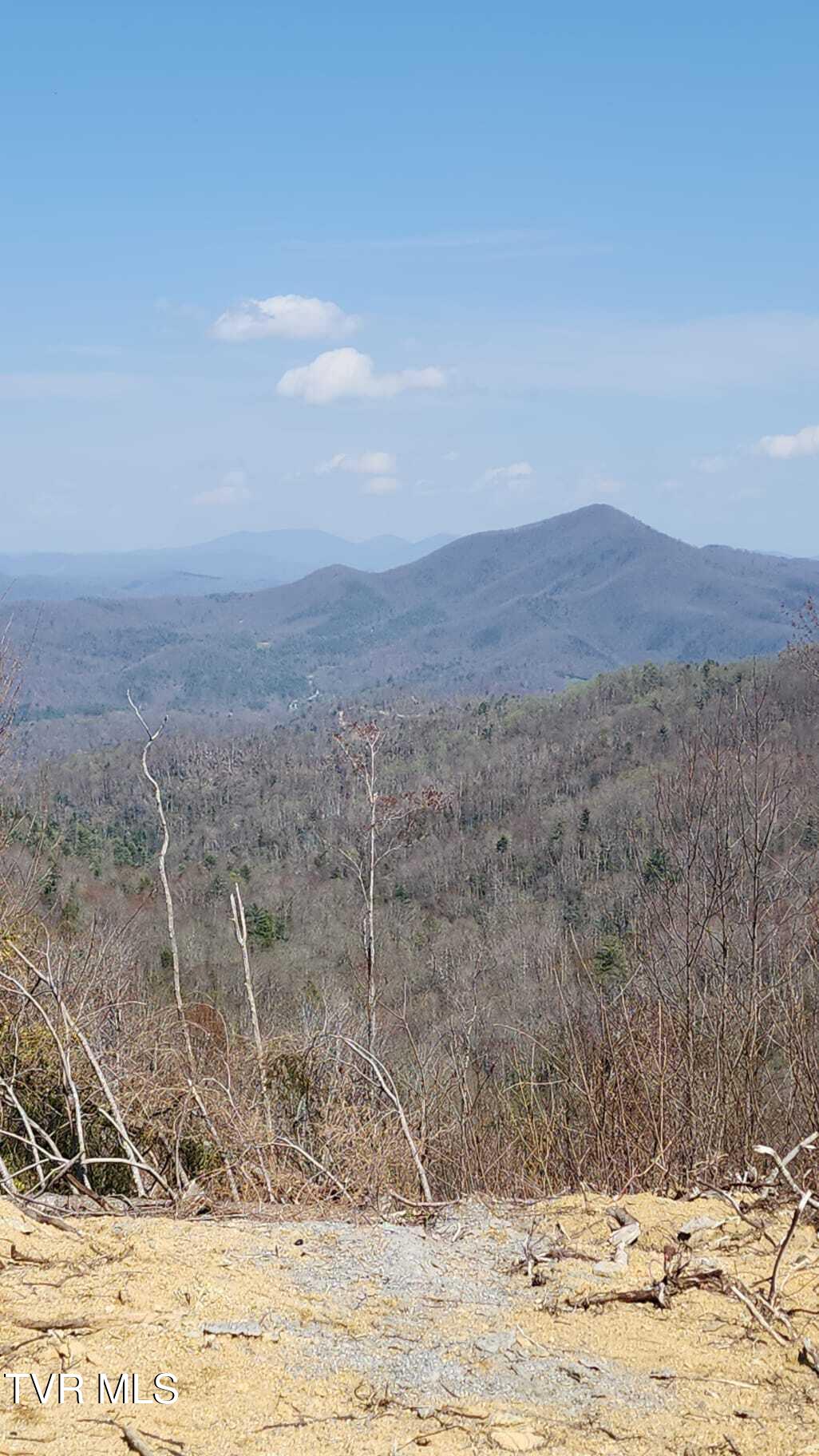 0 Walnut Mountain Road, Unit 8 Butler, TN 37640 - Photo 9 of 10 Views