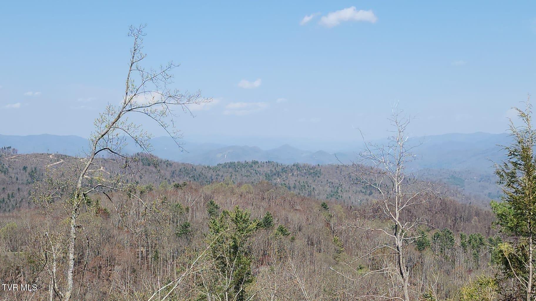 0 Walnut Mountain Road, Unit 8 Butler, TN 37640 - Photo 10 of 10 WOW