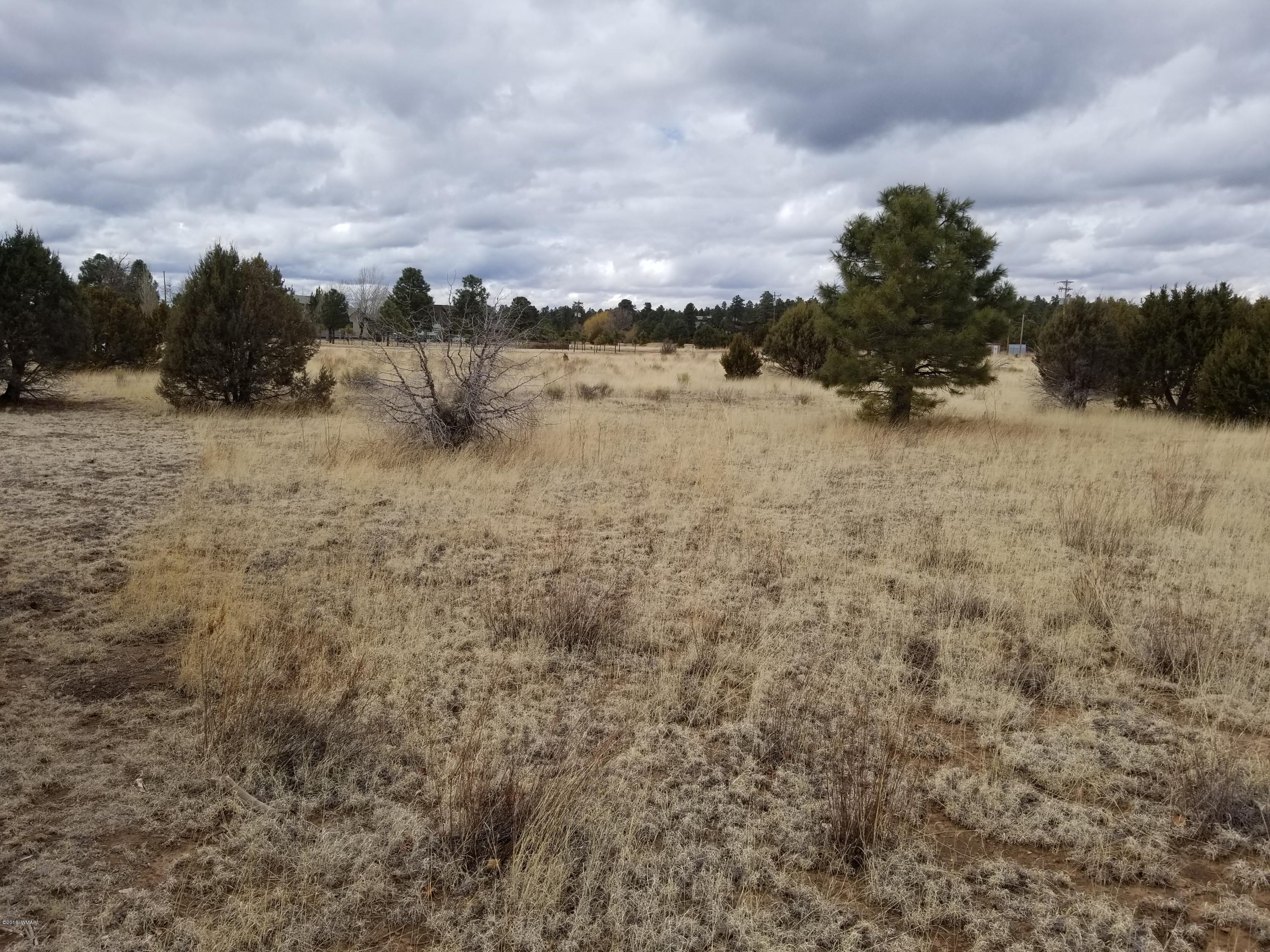 2282 Cabin Drive Overgaard, AZ 85933 - Photo 1 of 8