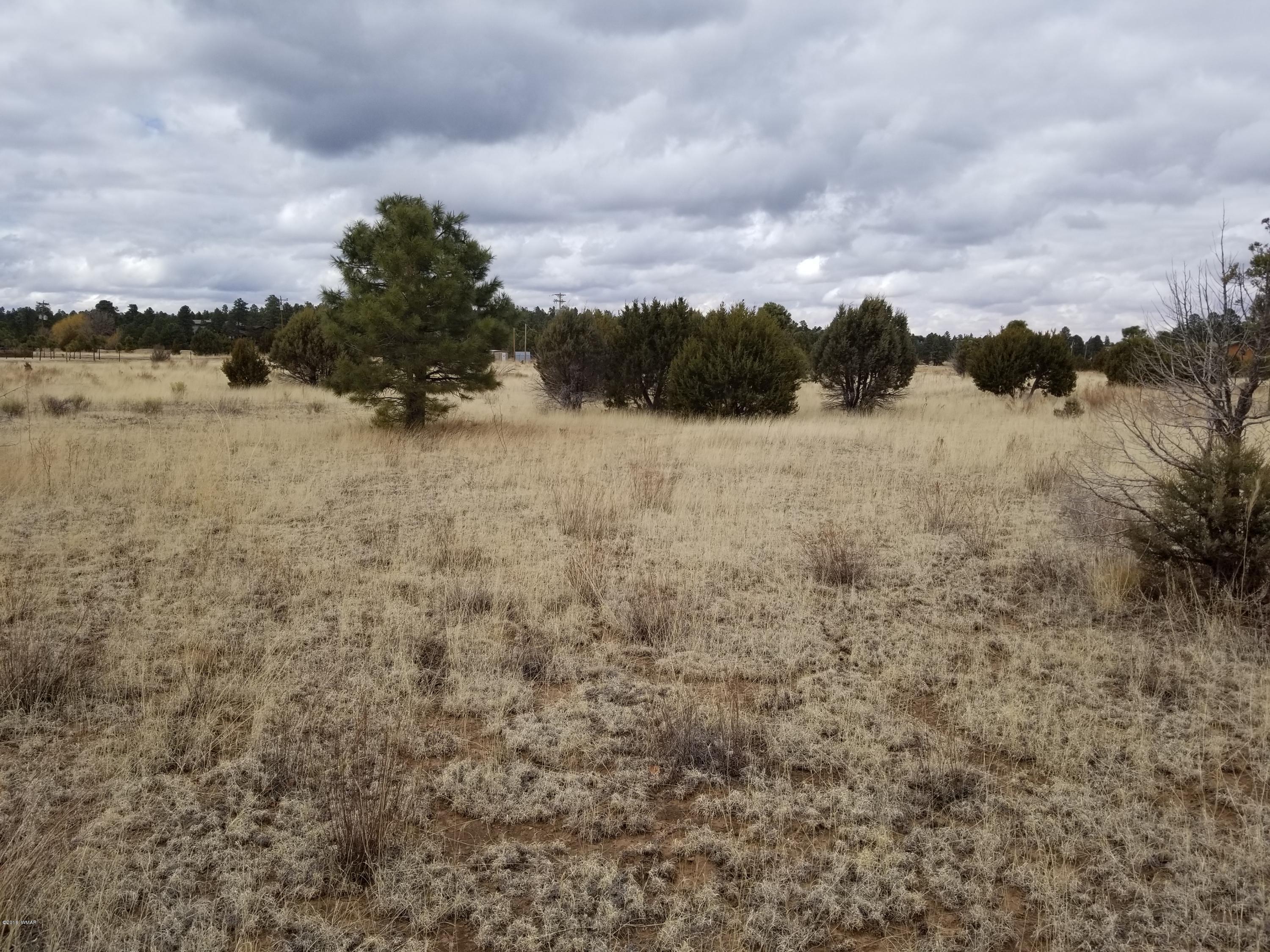 2282 Cabin Drive Overgaard, AZ 85933 - Photo 2 of 8