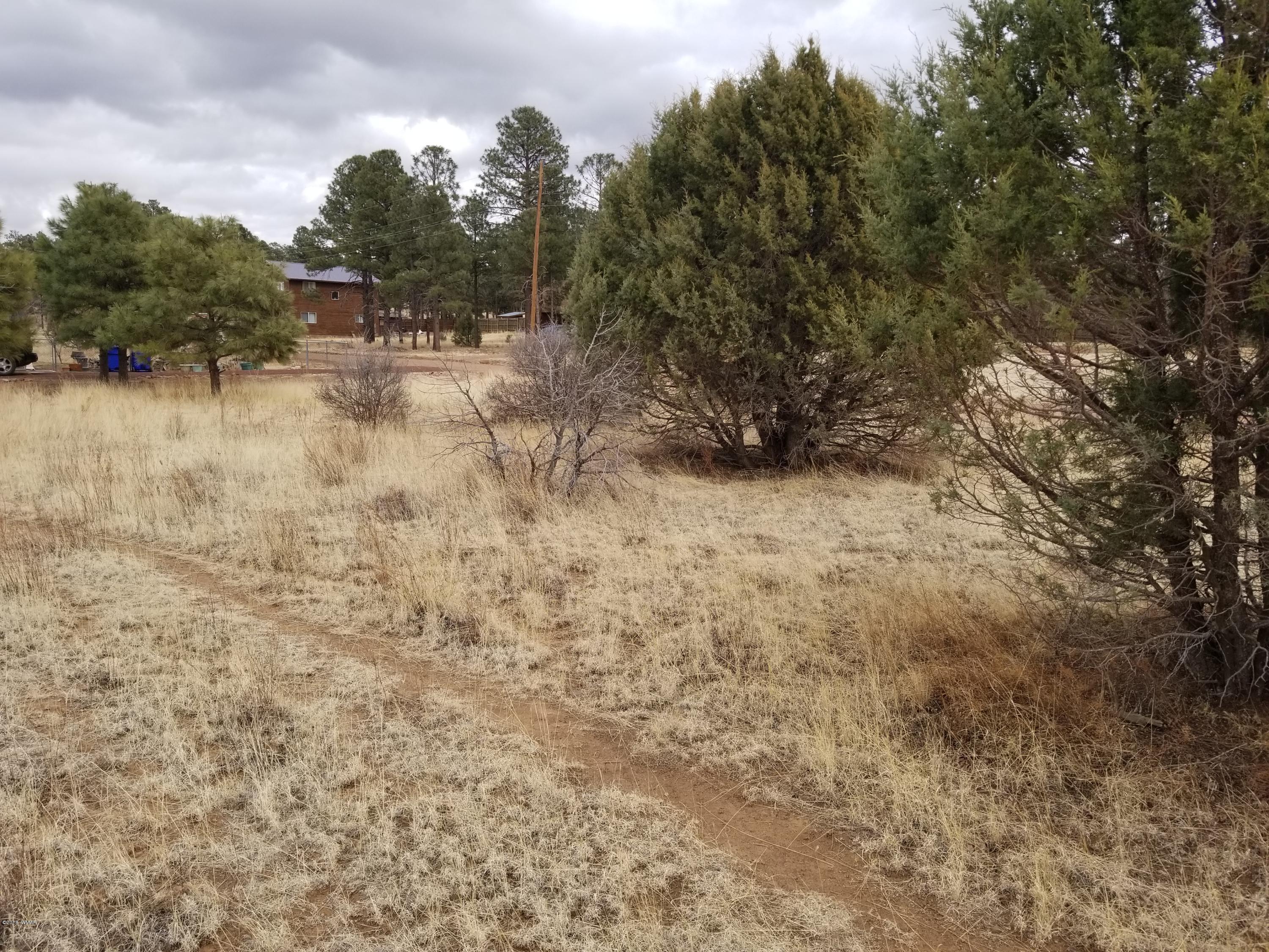 2282 Cabin Drive Overgaard, AZ 85933 - Photo 3 of 8