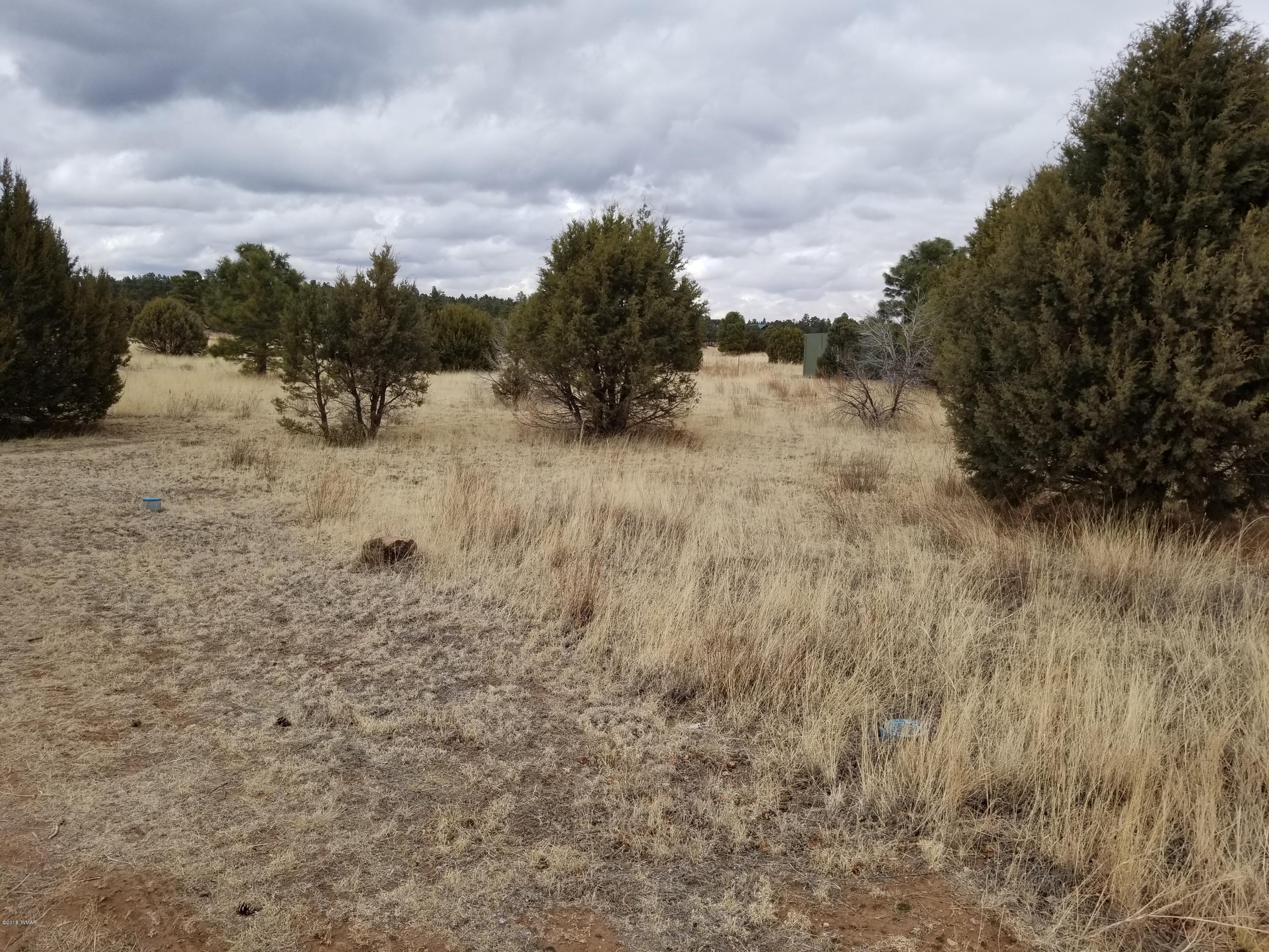 2282 Cabin Drive Overgaard, AZ 85933 - Photo 4 of 8