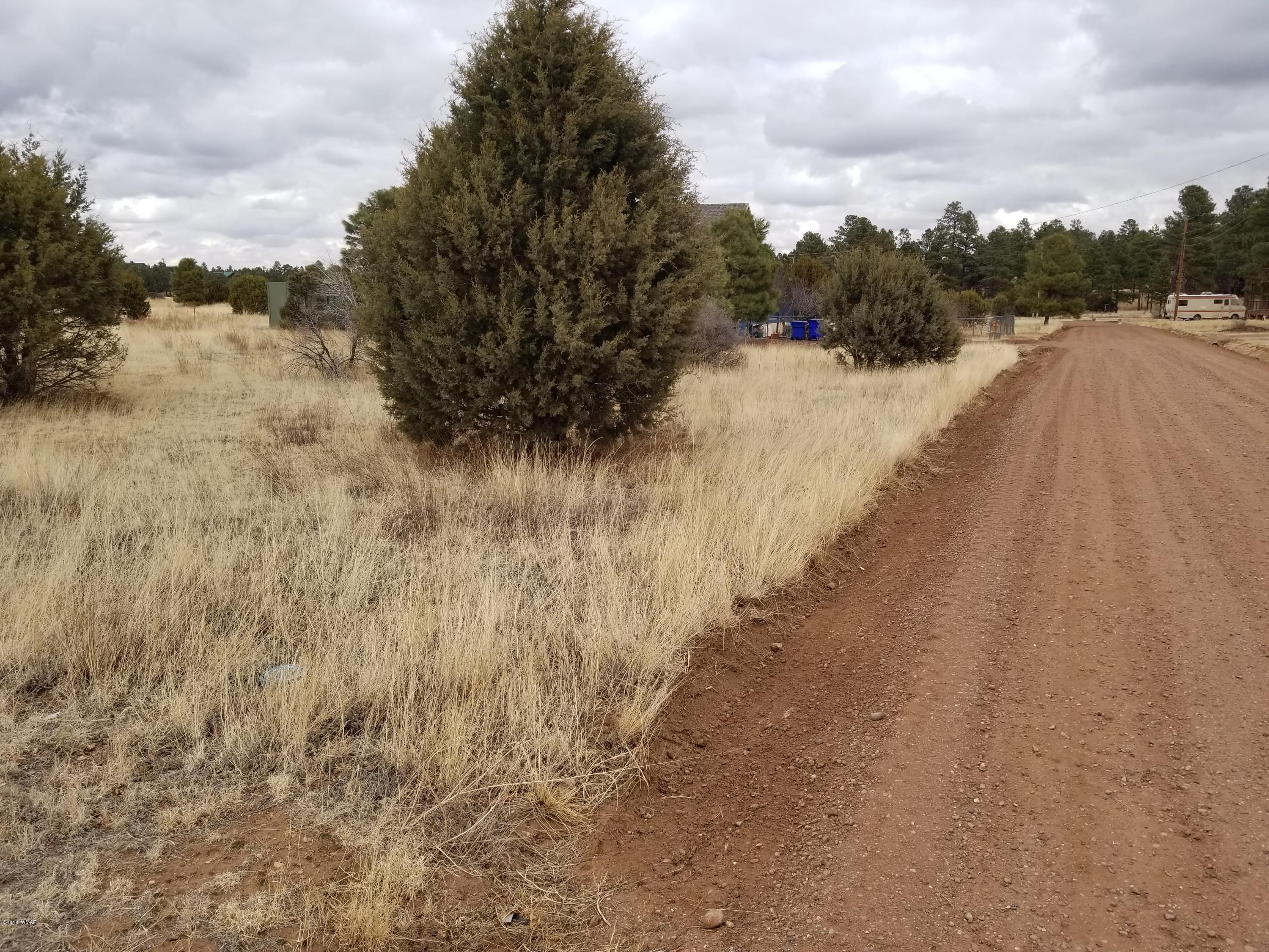 2282 Cabin Drive Overgaard, AZ 85933 - Photo 5 of 8