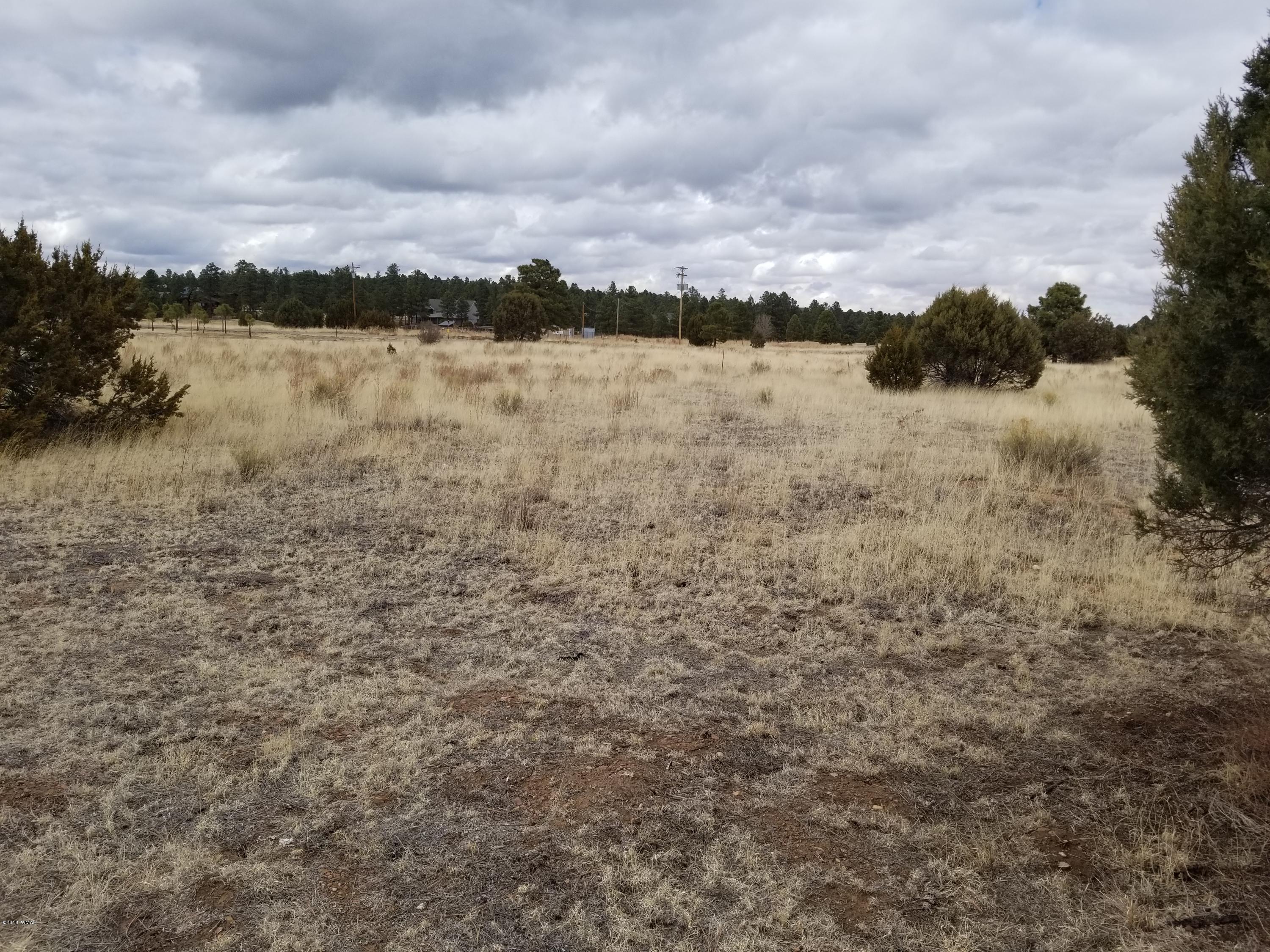 2282 Cabin Drive Overgaard, AZ 85933 - Photo 6 of 8