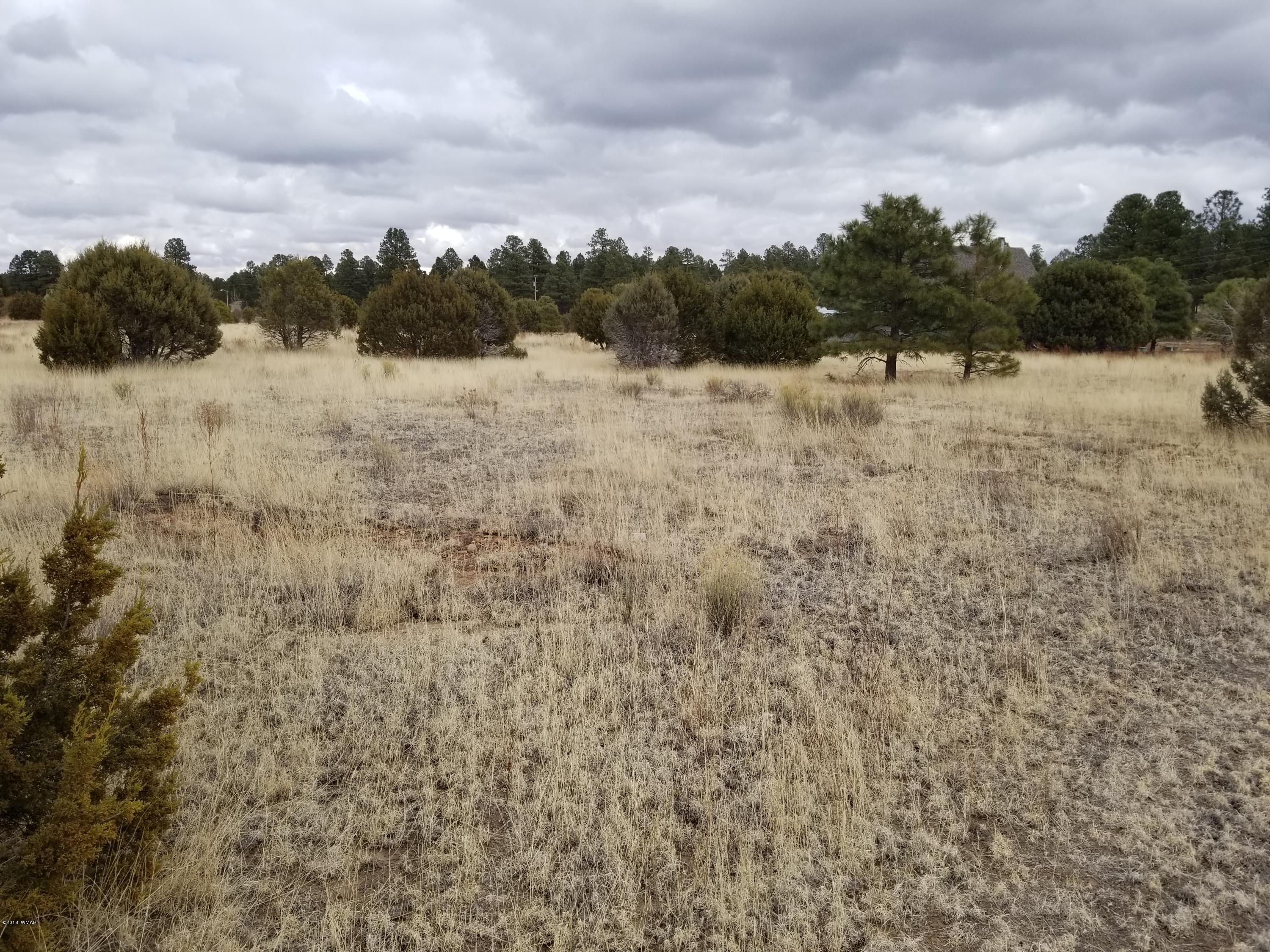 2282 Cabin Drive Overgaard, AZ 85933 - Photo 7 of 8