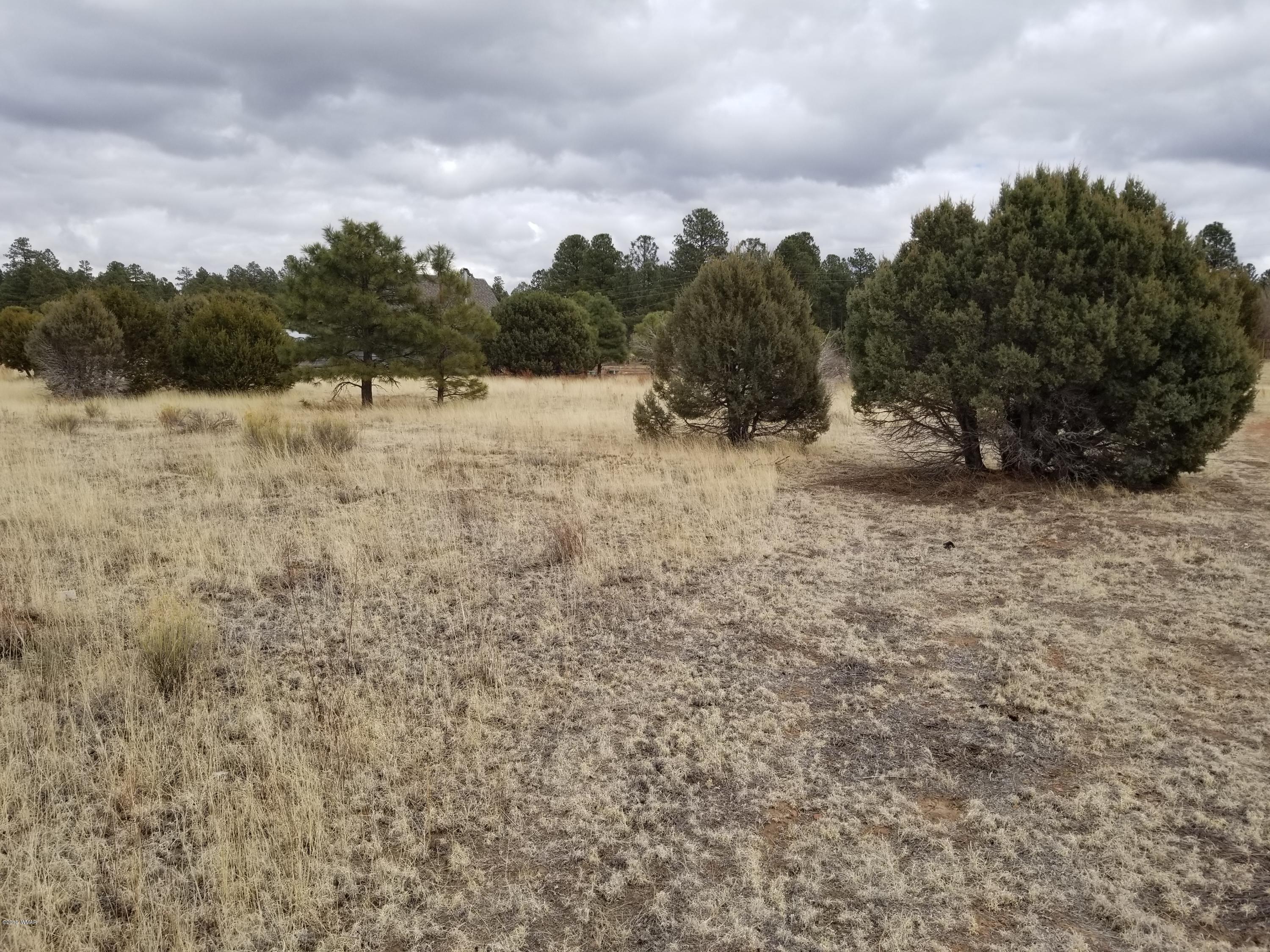 2282 Cabin Drive Overgaard, AZ 85933 - Photo 8 of 8
