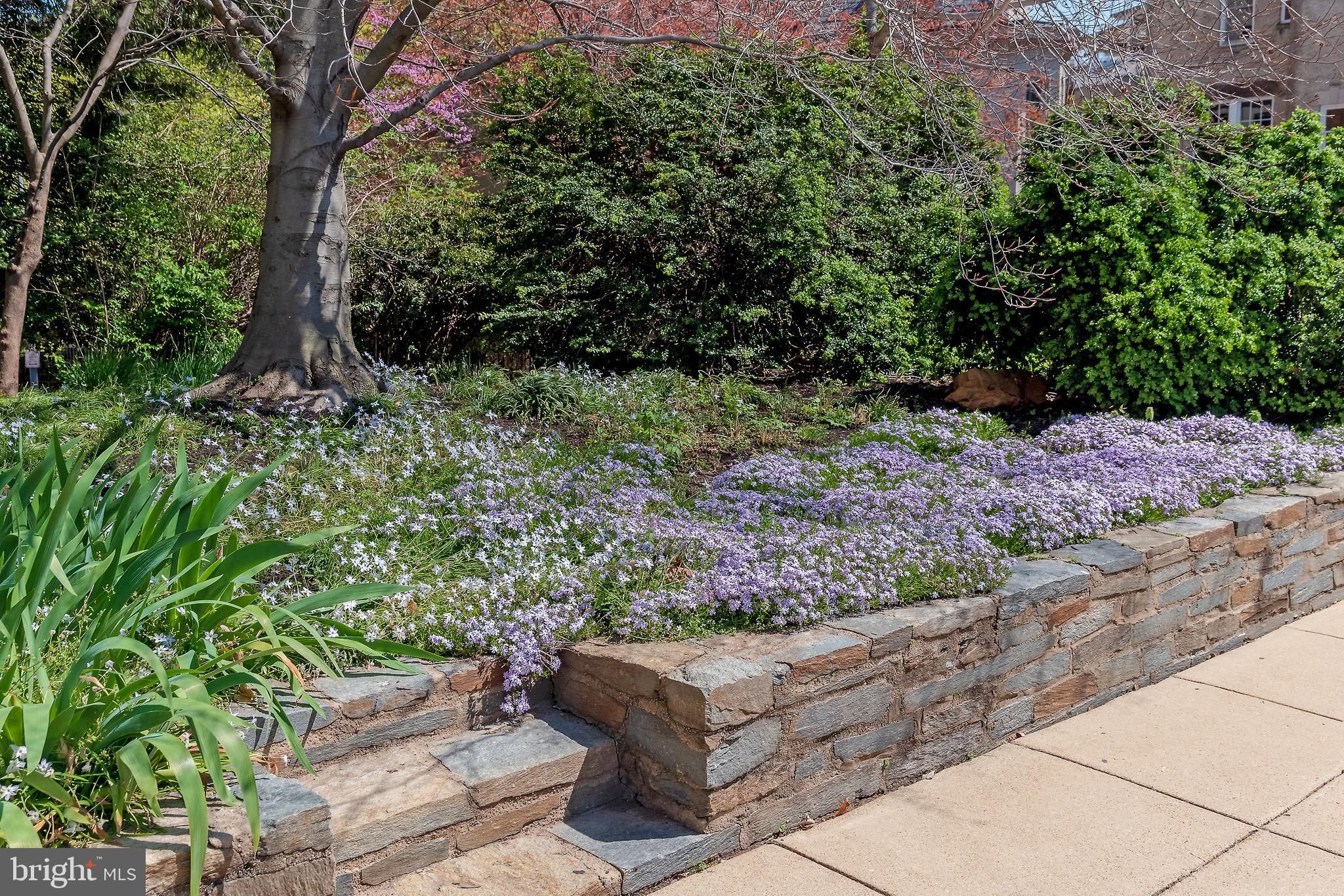 2853 Ontario Road Northwest, Unit 318 Washington, DC 20009 - Photo 28 of 34 Lush landscaping