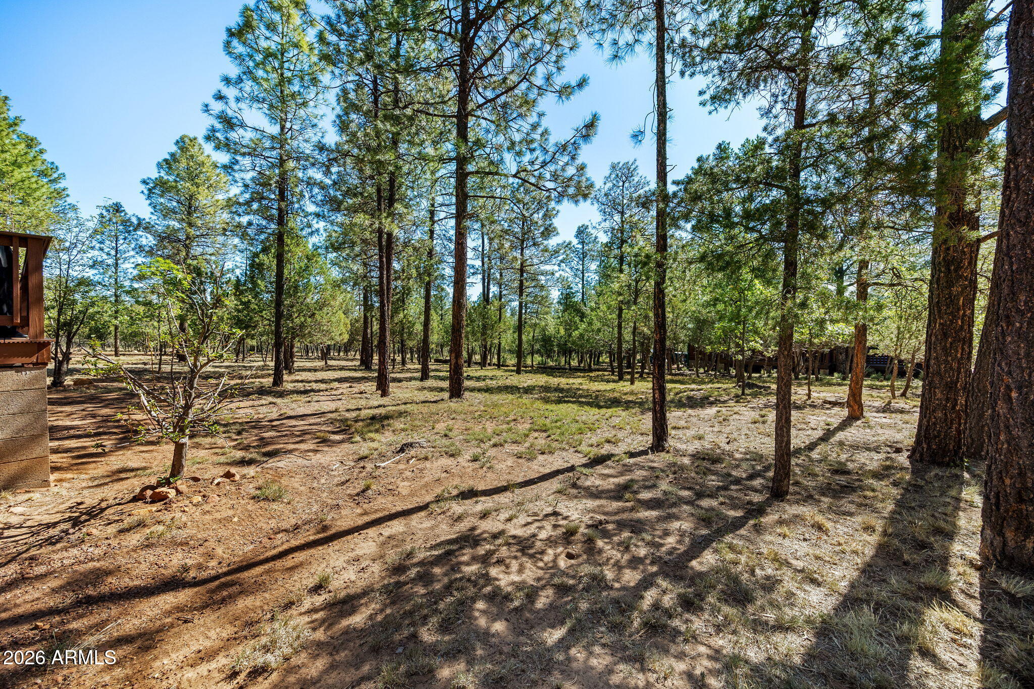 2797 Deer Hill Overgaard, AZ 85933 - Photo 24 of 40 2797ParadisePines-Heber-AZ-24