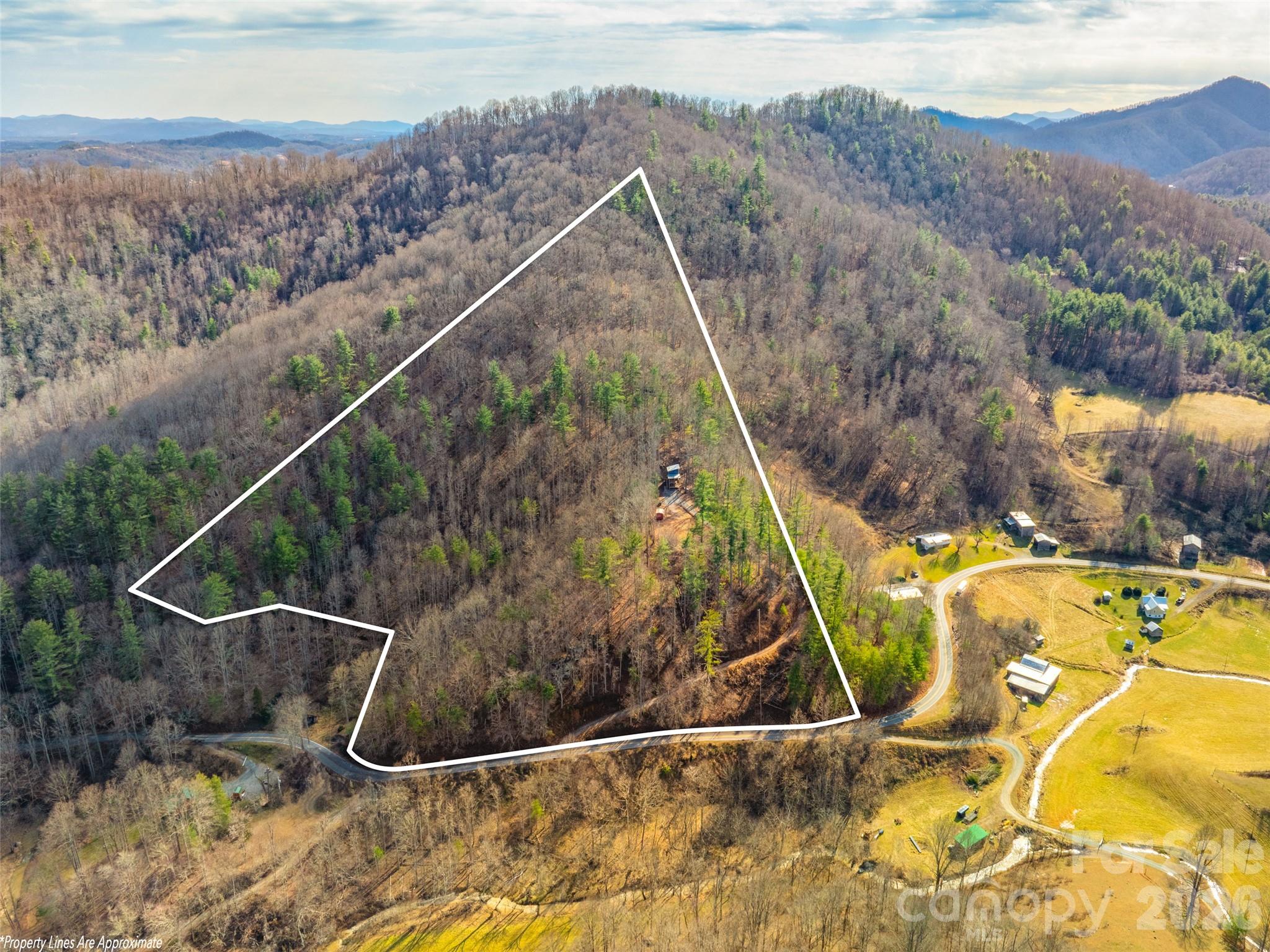 2504 Upper Paw Paw Road Marshall, NC 28753 - Photo 2 of 41