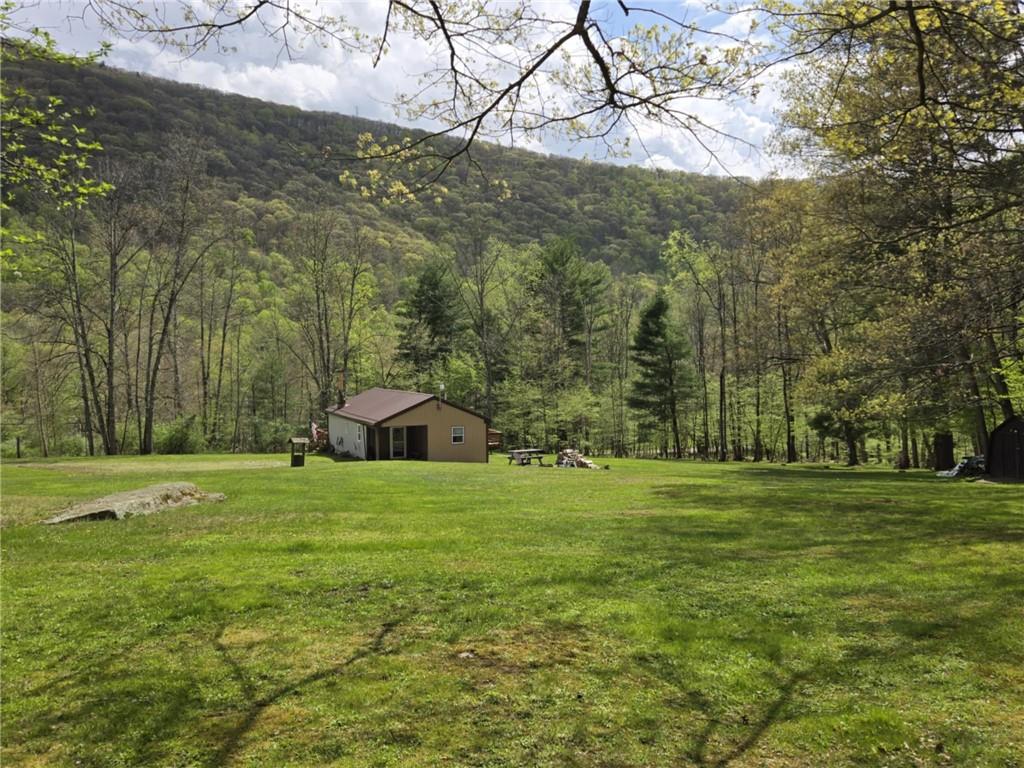 23 Rock Hill Road Weedville, PA 15868 - Photo 23 of 35 a big yard with lots of green space and house in the back