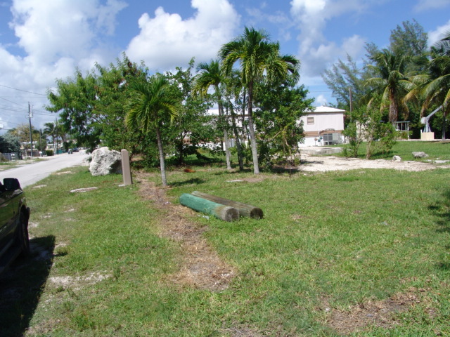 215 Lower Matecumbe Road Key Largo, FL 33037 - Photo 4 of 6 Trres on the lot