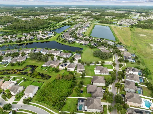 $682,999 | 19214 Early Violet Drive, Tampa, FL 33647