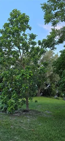 $595,000 | 13206 Southwest 144th Parkway, Okeechobee, FL 34974