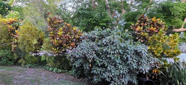 $595,000 | 13206 Southwest 144th Parkway, Okeechobee, FL 34974