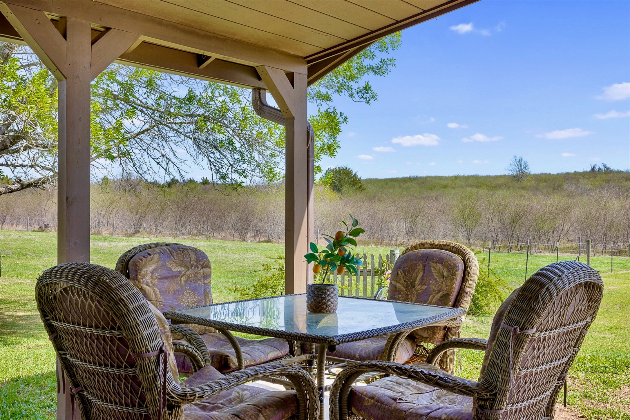 999 Salem Road Brenham, TX 77833 - Photo 11 of 41 a view of a porch with furniture and a yard