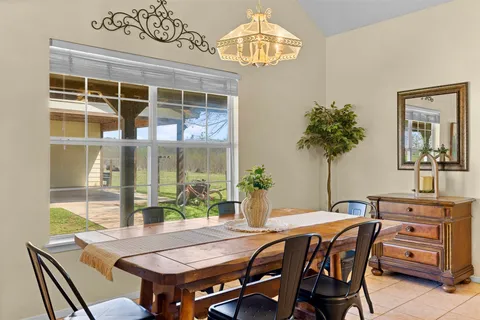 a table with chairs and a potted plant