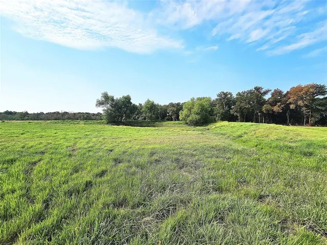 a view of a grassy field with trees in the background