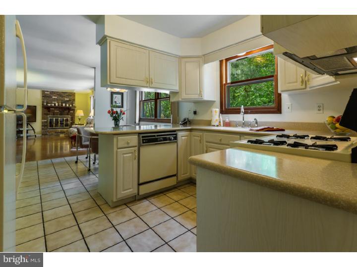 372 Holly Road Marlton, NJ 08053 - Photo 6 of 24 Kitchen