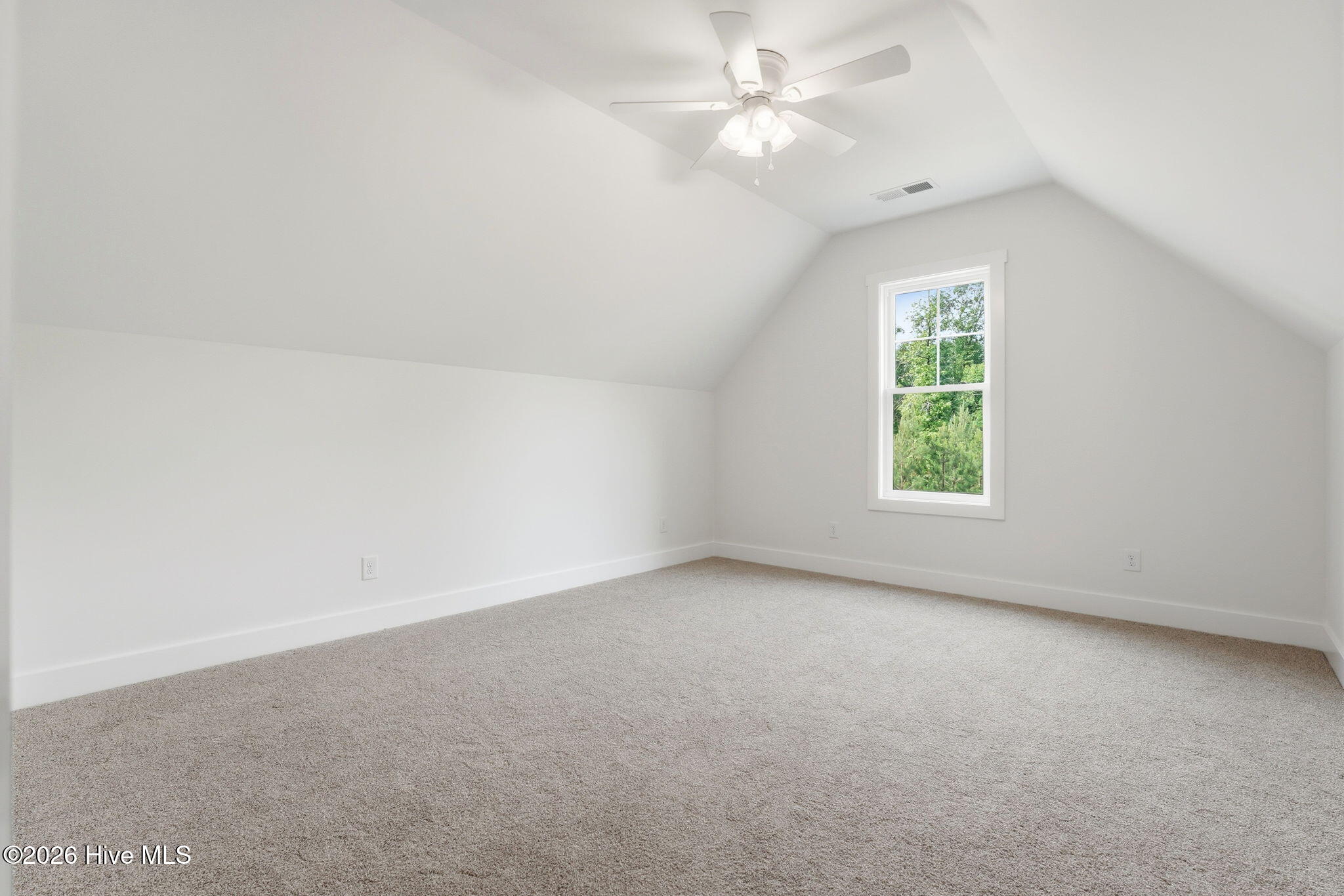 910 Niagara Carthage Road Carthage, NC 28327 - Photo 28 of 52