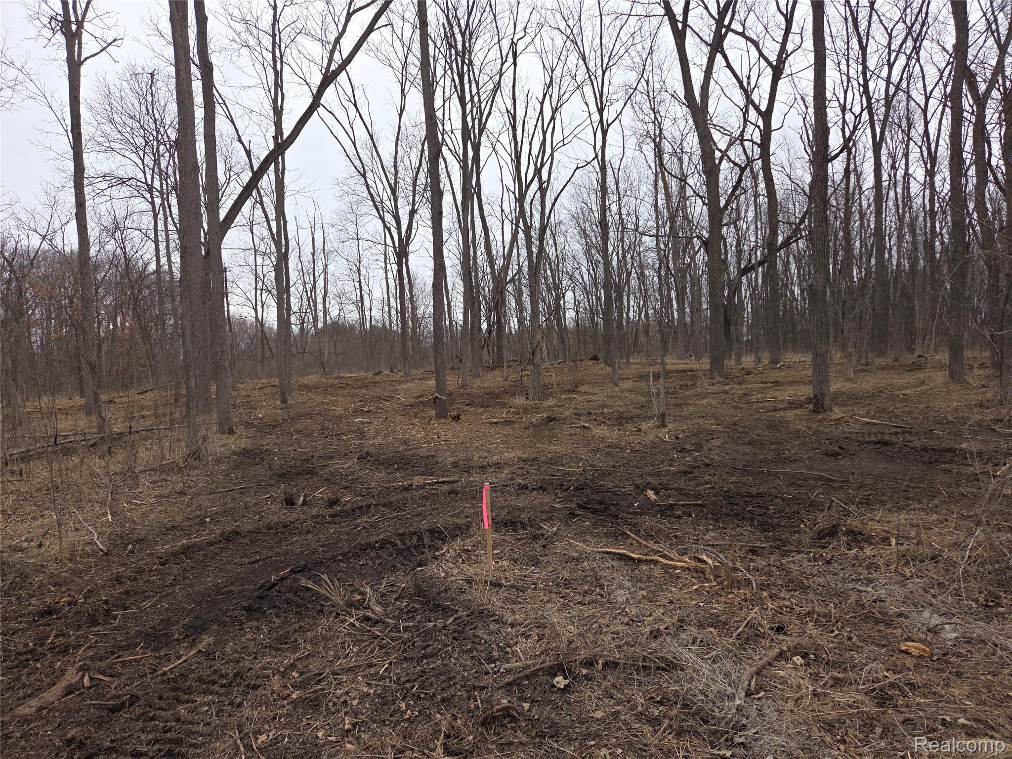 Parcel D Parcel D Parcel D Cullen Road Fenton, MI 48430 - Photo 1 of 1 parcel a-1.jpg