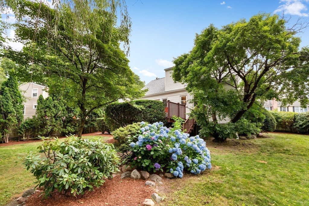 44 Westlund Road Belmont, MA 02478 - Photo 5 of 30 a bunch of flowers in front of yellow house