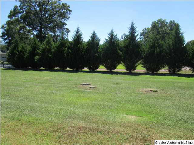 1349 Patton Road Mount Olive, AL 35117 - Photo 2 of 21