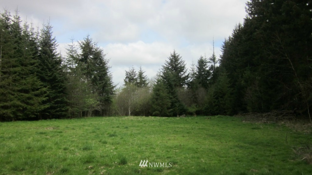 900 North Military Road Winlock, WA 98596 - Photo 14 of 25
