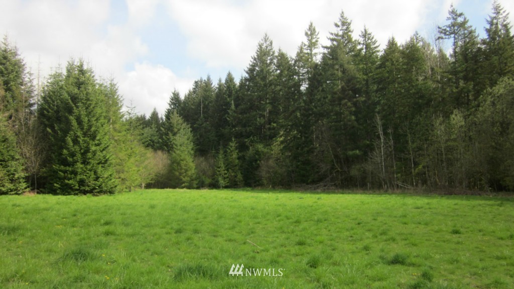 900 North Military Road Winlock, WA 98596 - Photo 3 of 25