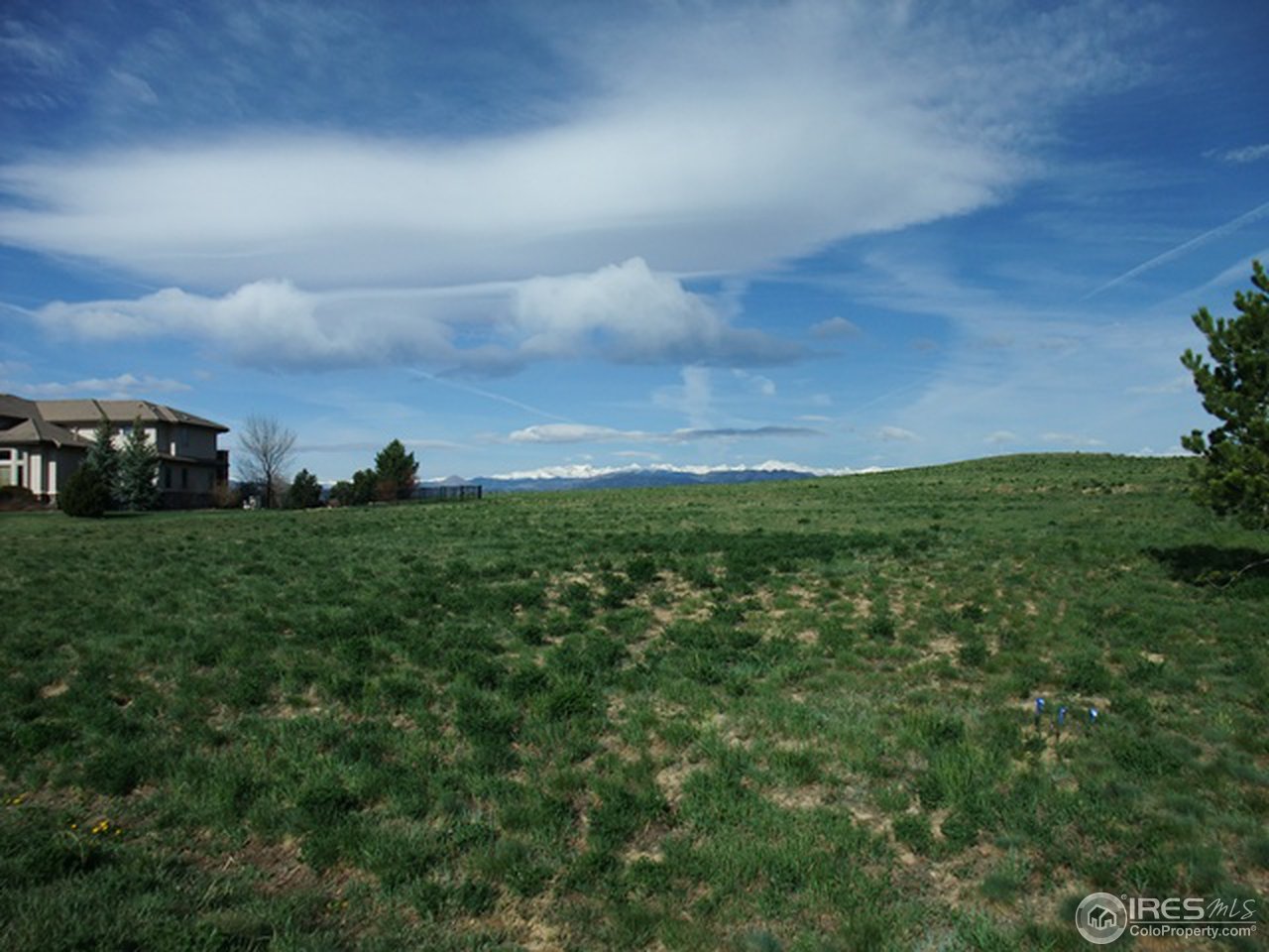 6501 Legend Ridge Trail Niwot, CO 80503 - Photo 8 of 18 Gallery Image 8